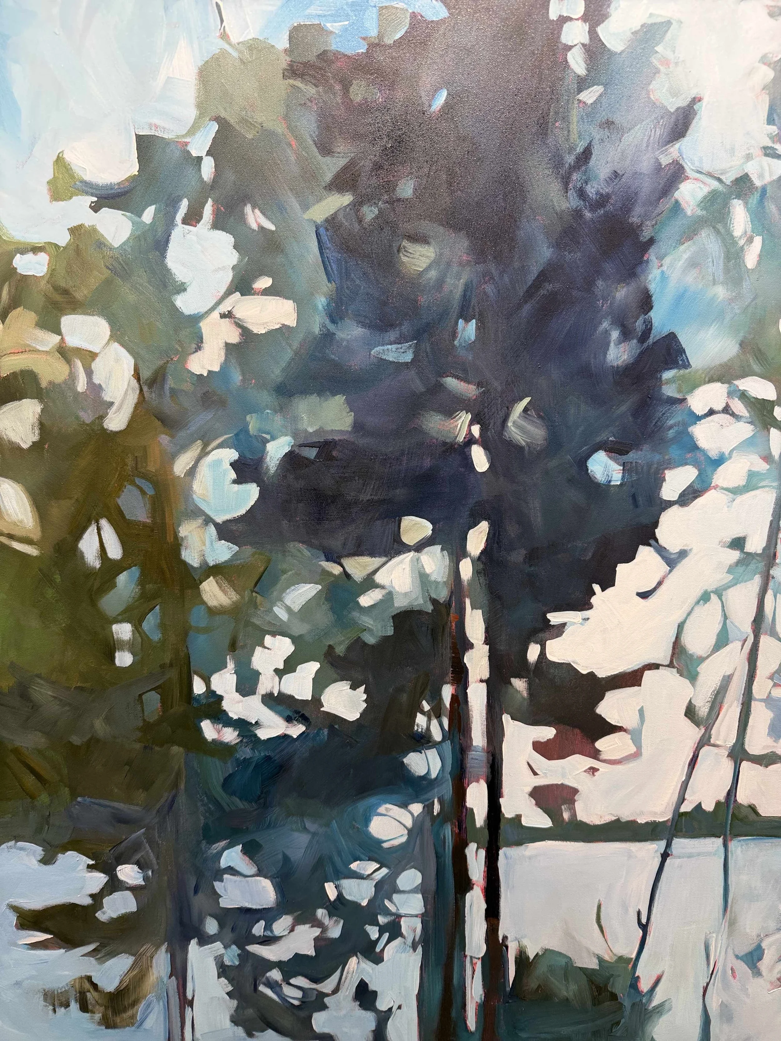 Photo 2026-03-04, 4 10 53 PM.jpg