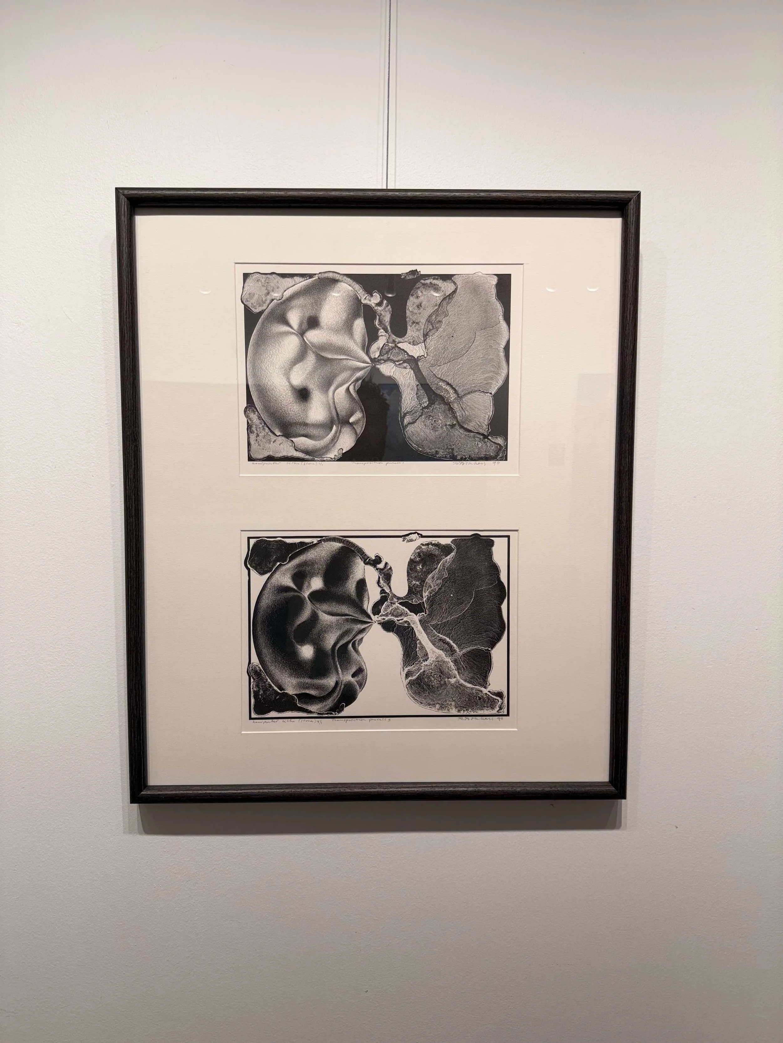 Photo 2026-02-13, 10 38 55 AM.jpg