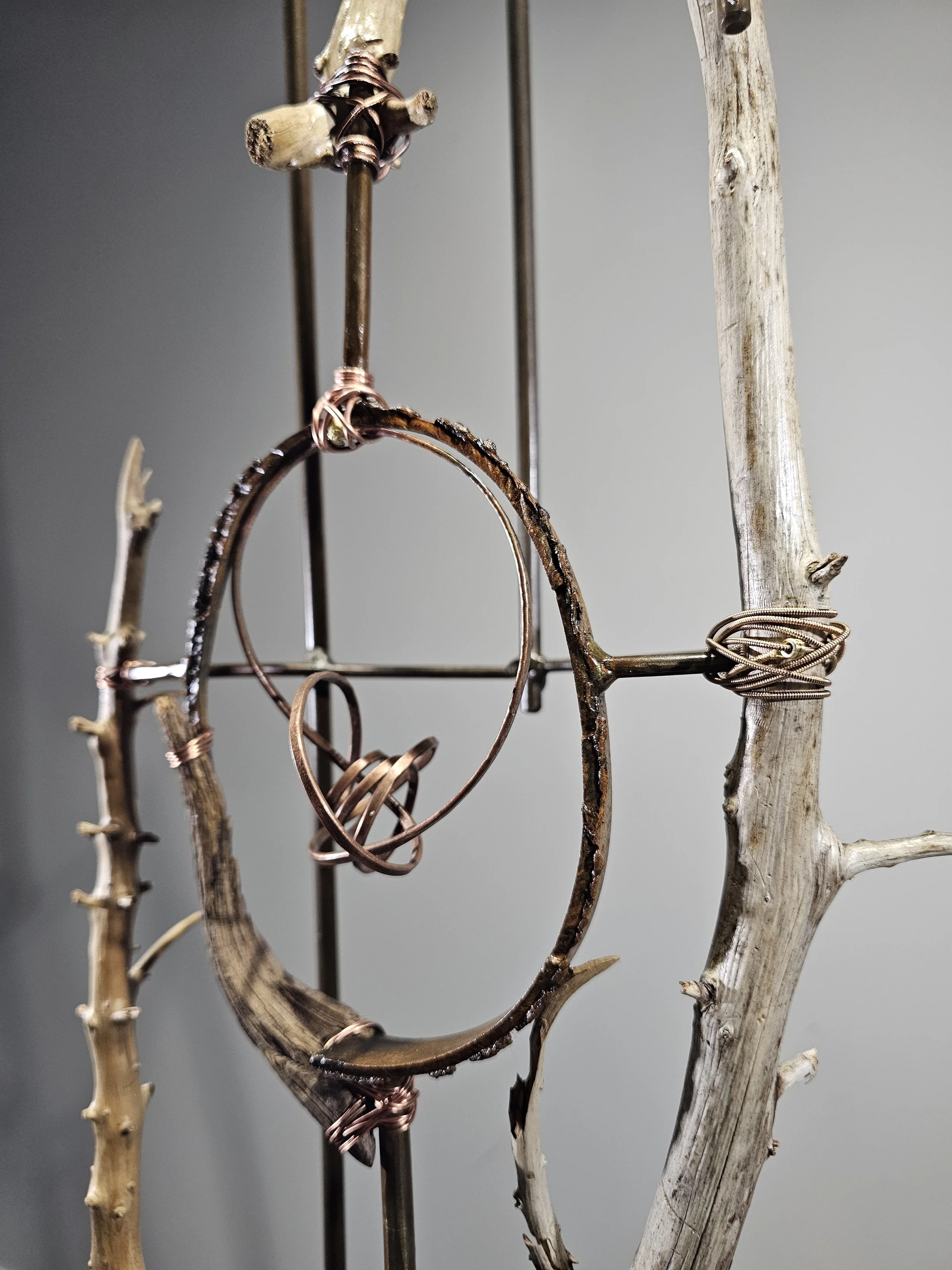 Photo 2026-04-09, 11 36 06 PM.jpg