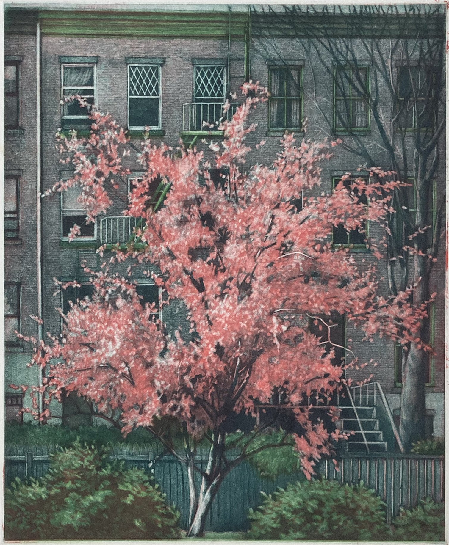 View from my Window - final print