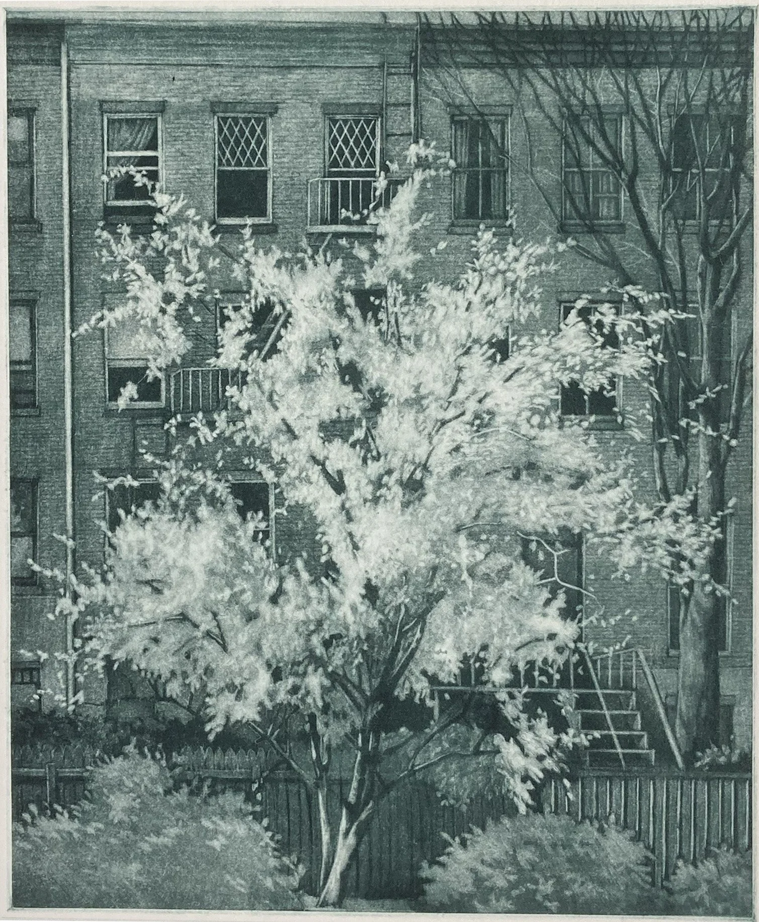 View from my Window - mezzotint plate