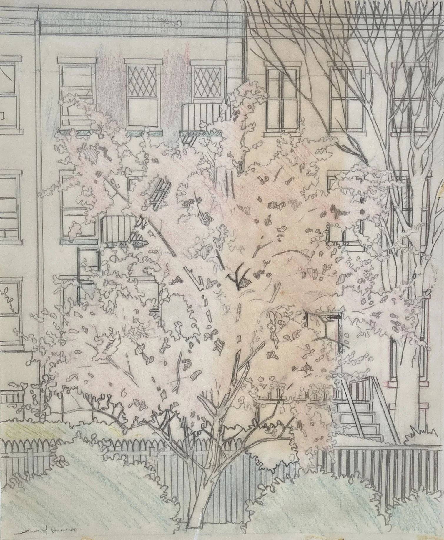 View from my Window - transfer drawing 