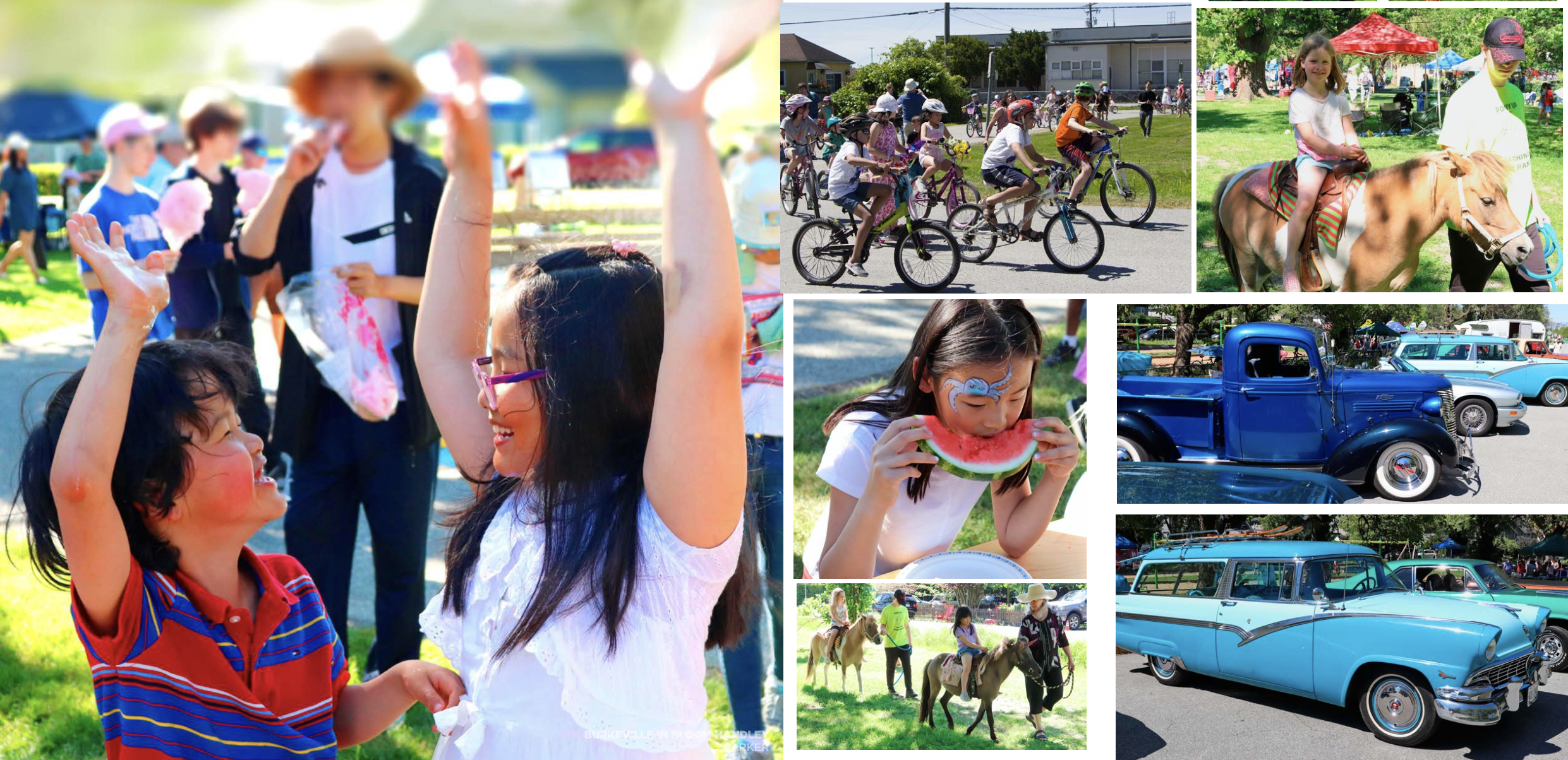 Scenes from a community outdoor event featuring children and adults enjoying various activities such as playing, riding bikes, horse riding, and looking at vintage cars.
