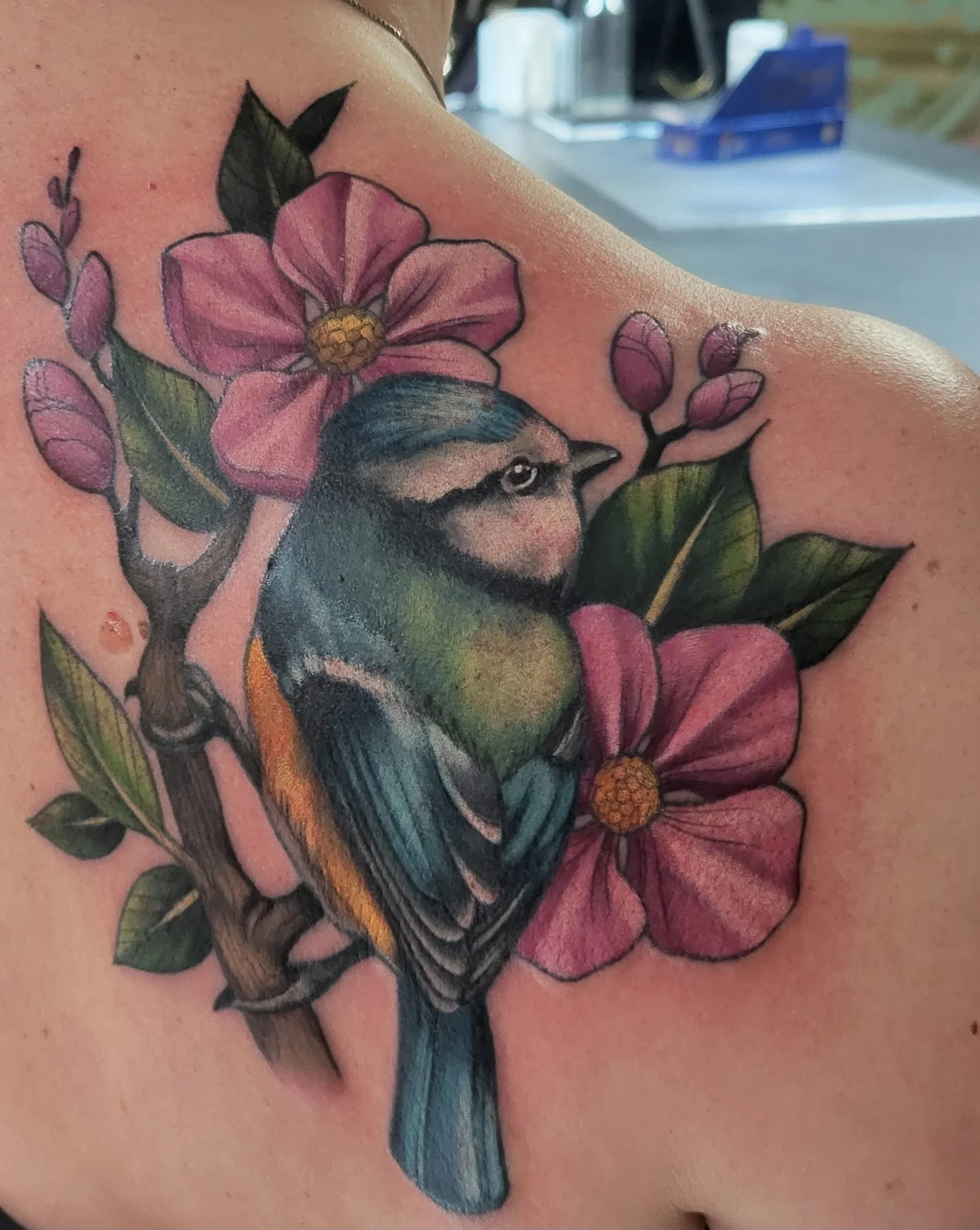 nettisivu_230224 (1).JPG