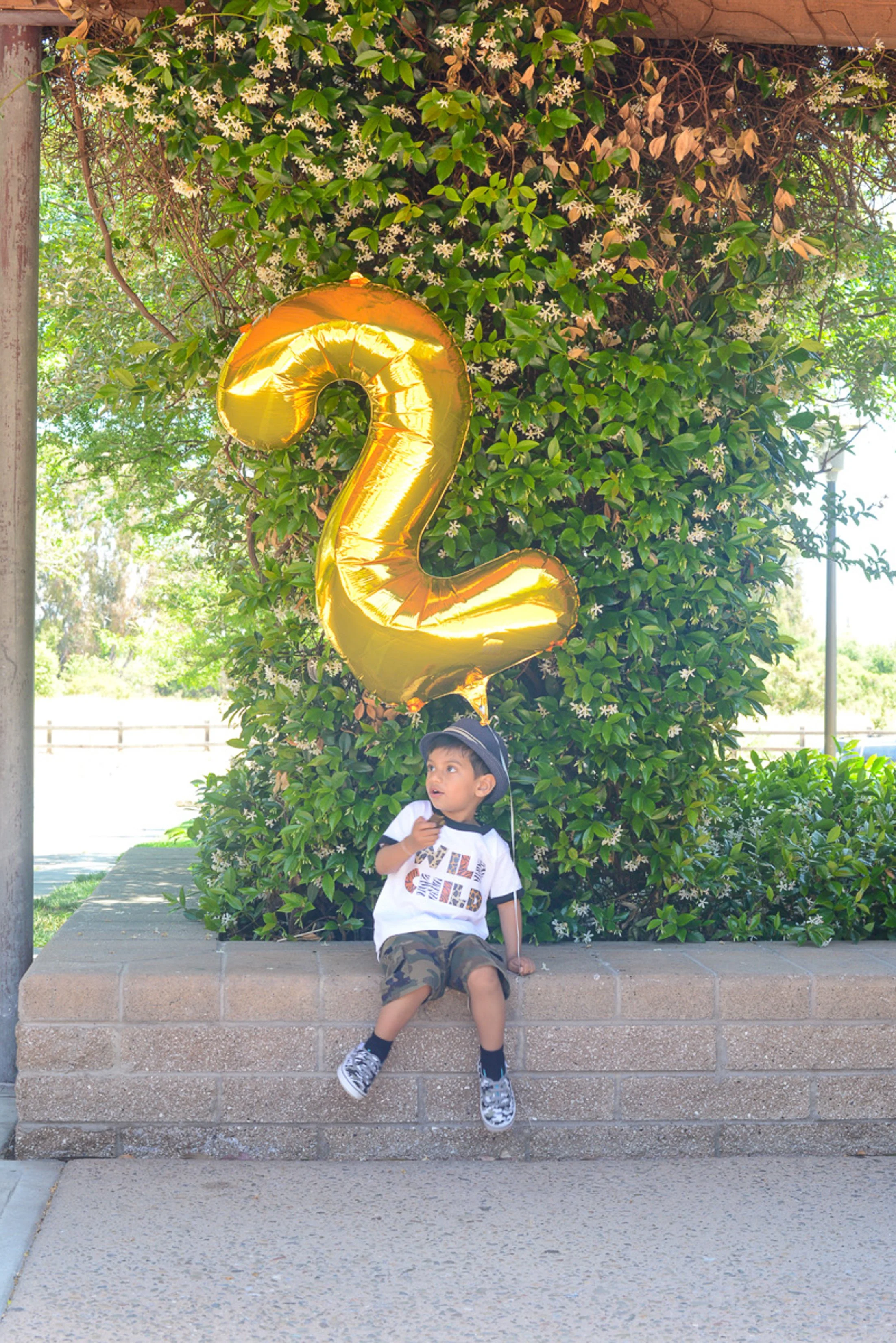A young boy sitting on a brick wall holding a large gold number 2 balloon, outdoors with greenery and flowering bush in the background.