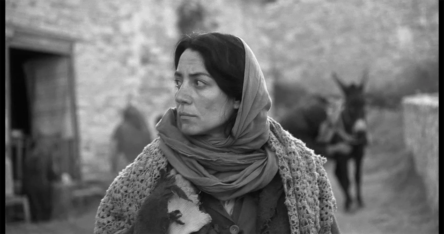 Project 2: Africa Star Trailer