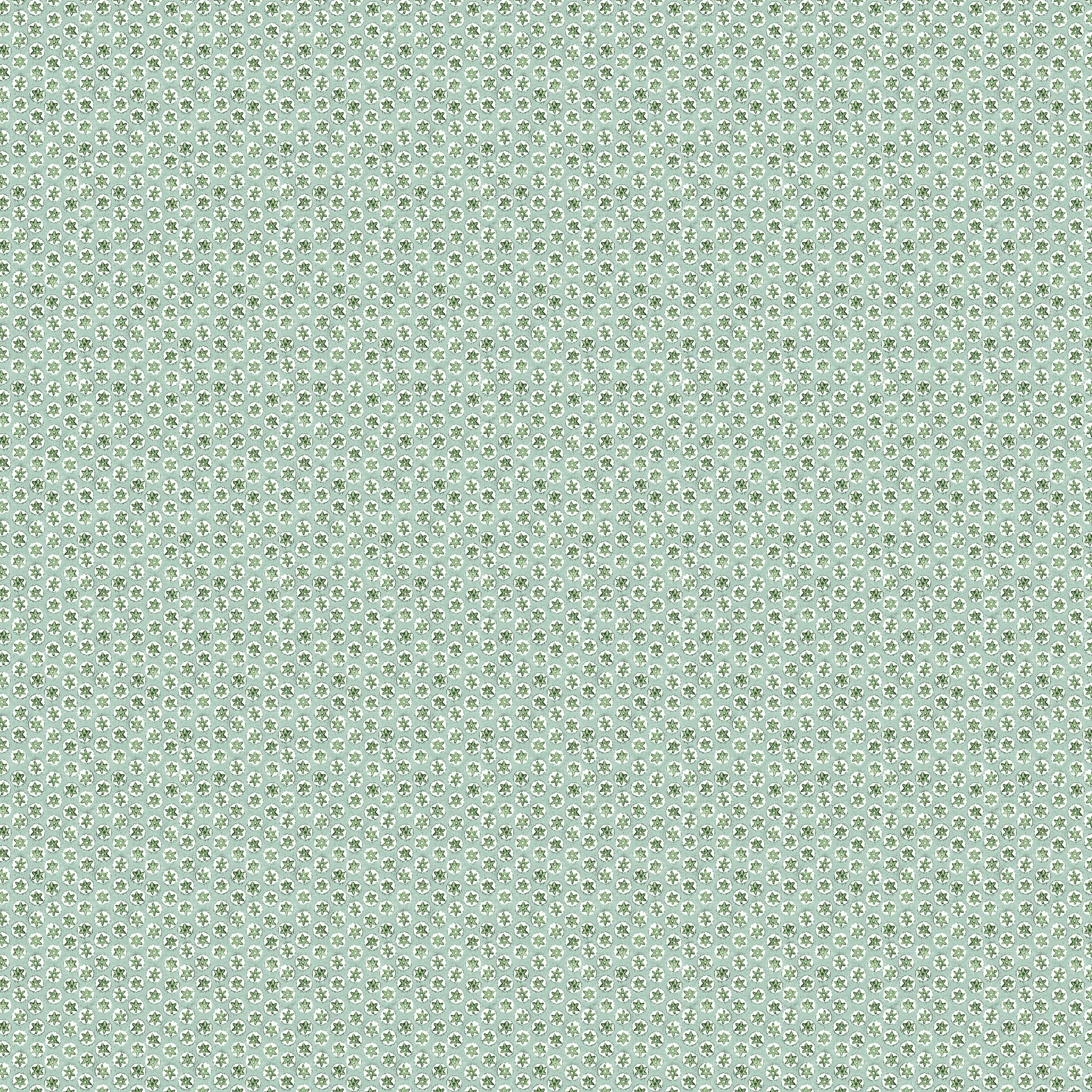 Star Block Sea Cucumber