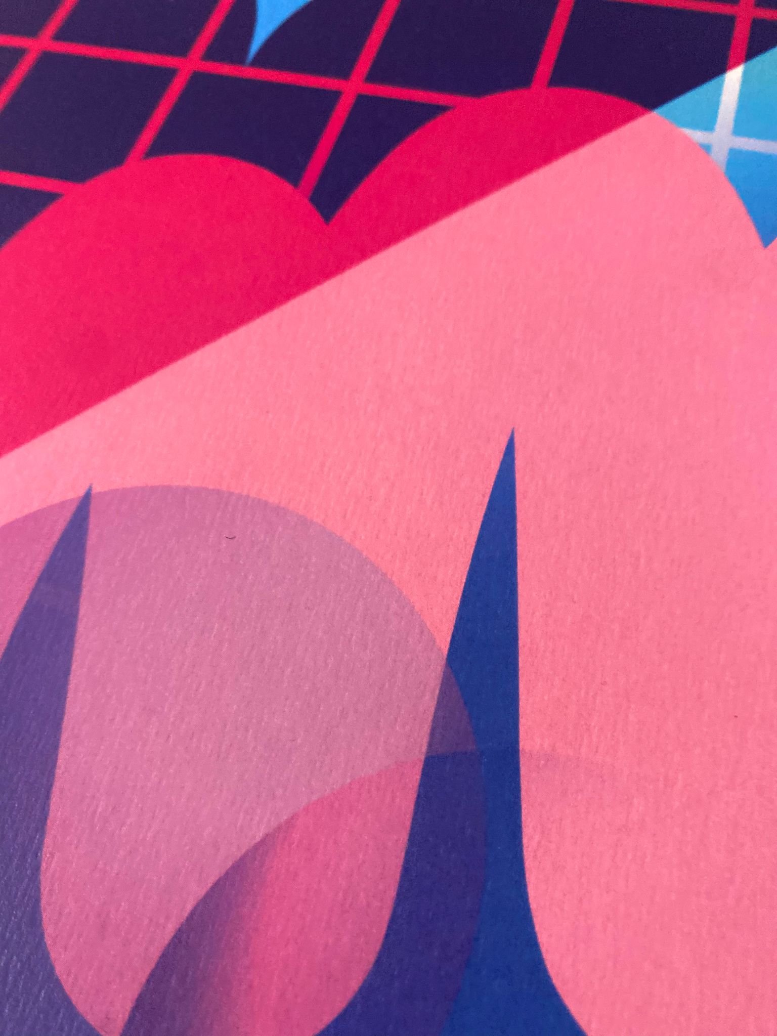 WhatsApp Image 2025-12-01 at 15.26.41.jpeg