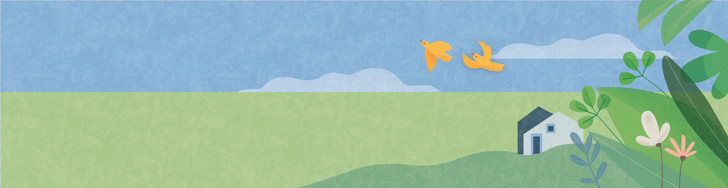 house_birds_BG.png