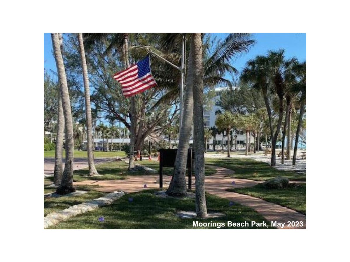 Update on the Beach Park