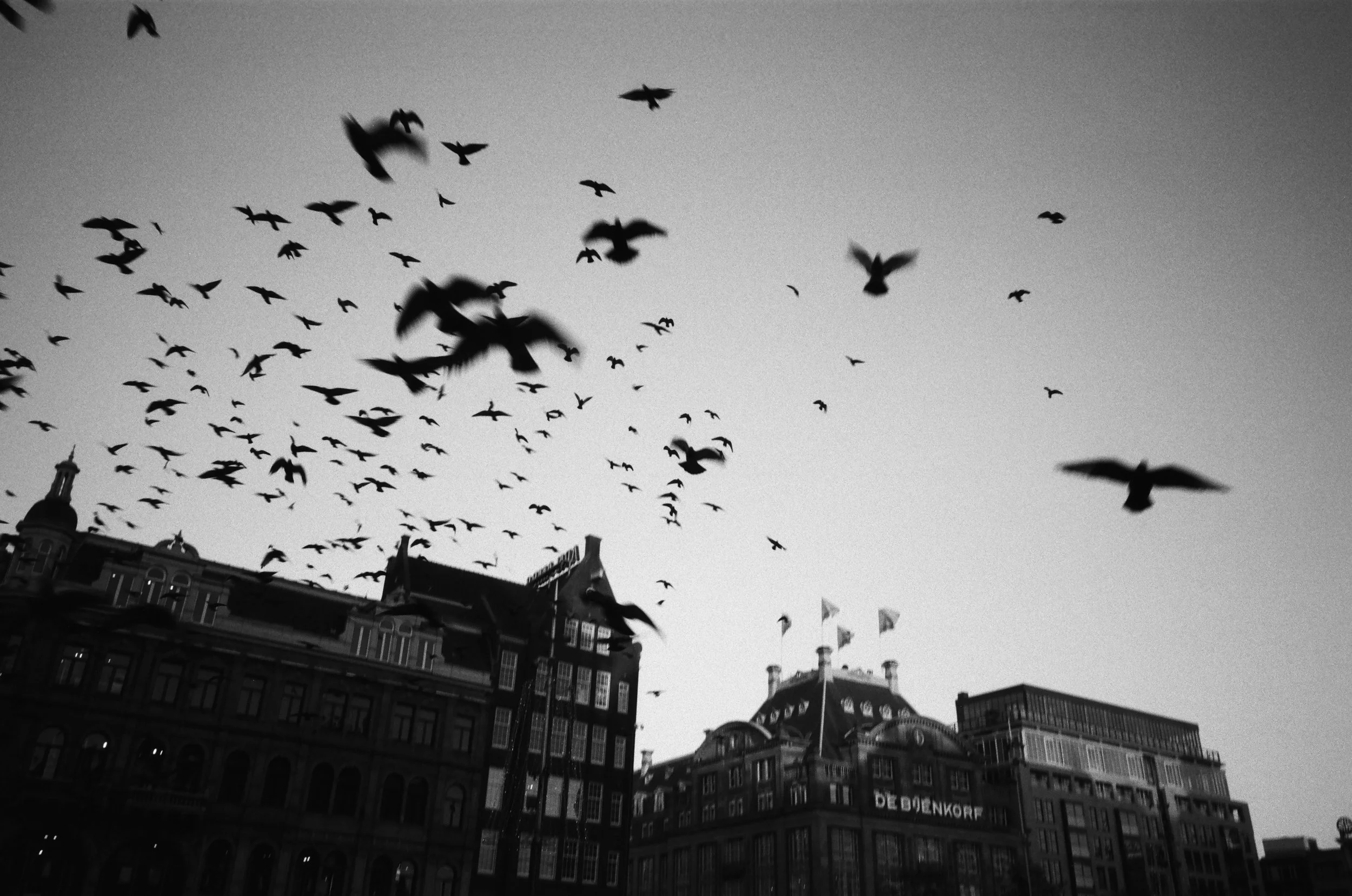scan--18.jpg