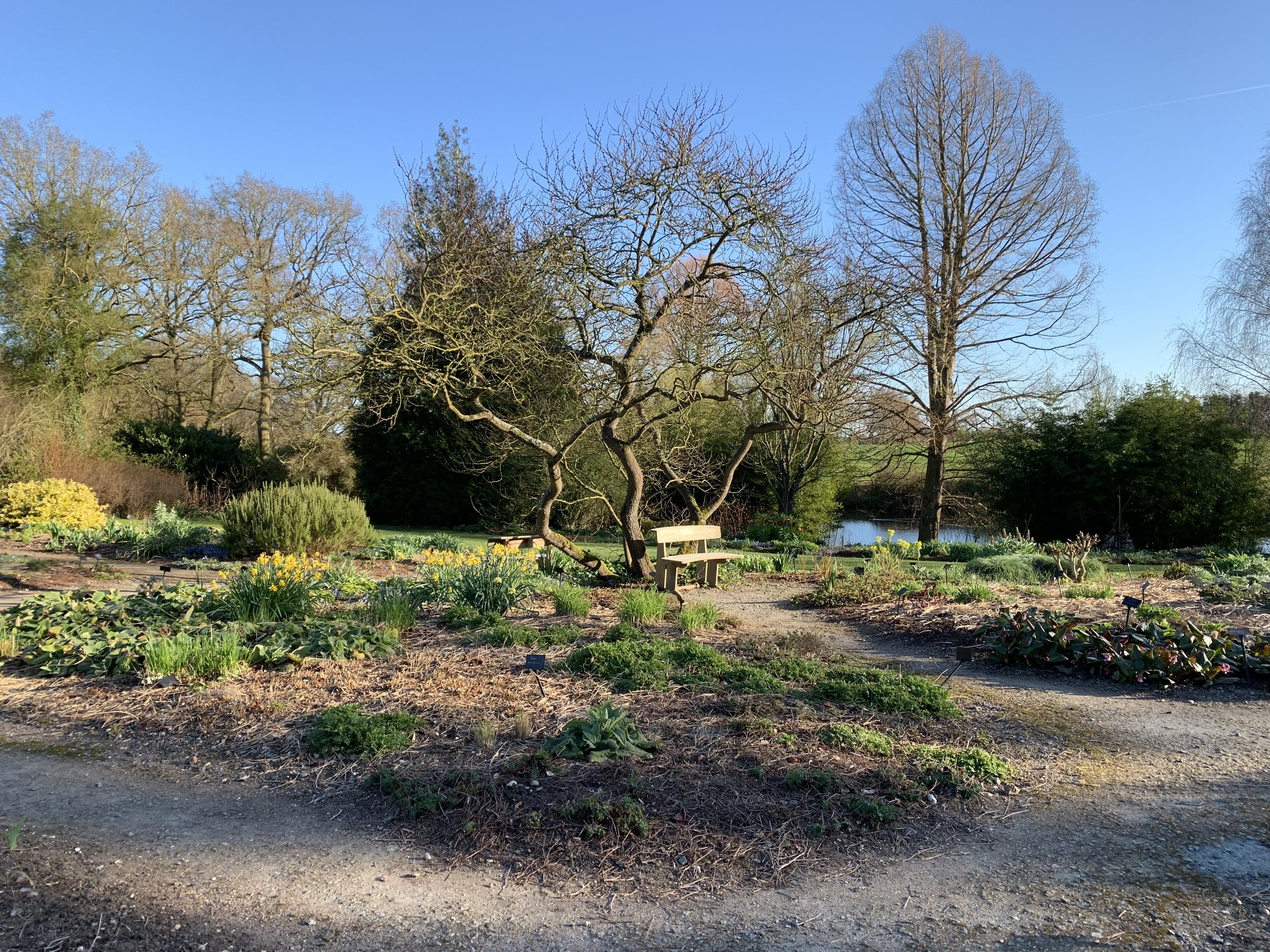Steppe garden, Beth Chatto's