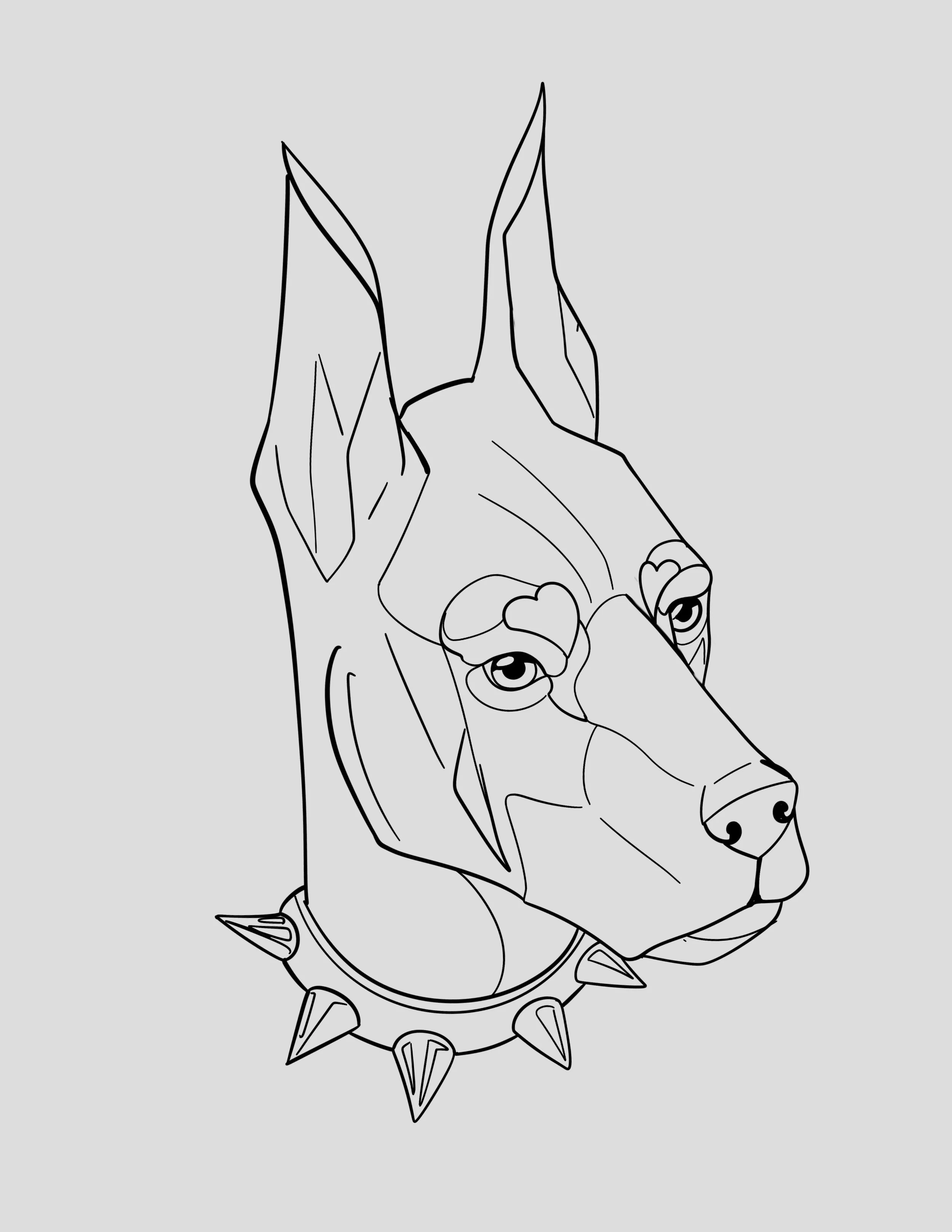 Doberman
