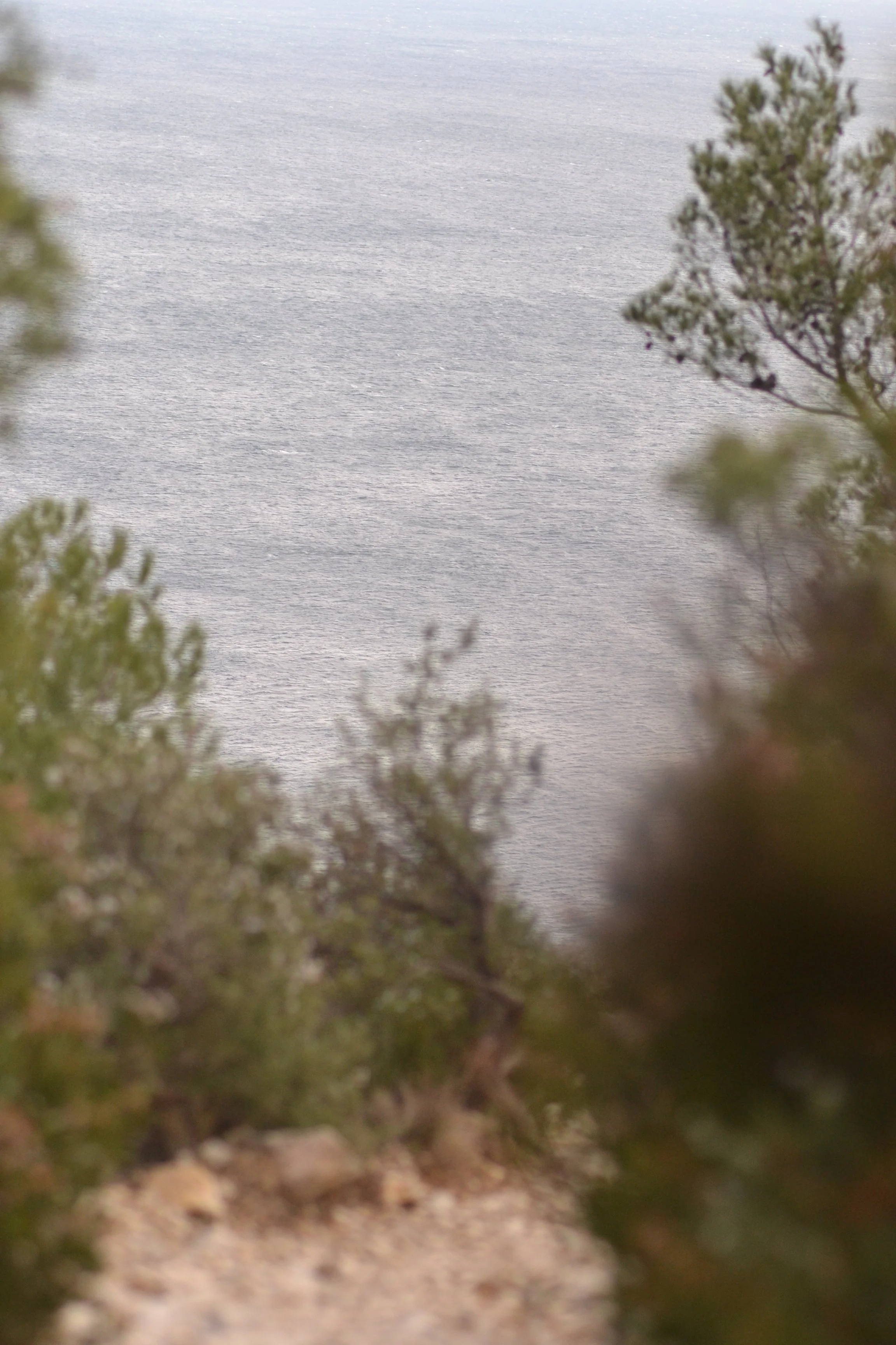 DSC_0553.JPG