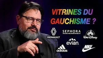 Une personne pointant vers une affiche avec le texte 'Vitrines du gauchisme ?' et plusieurs logos de marques comme Renault, Sephora, Disney, Evian, Adidas, Nike, accompagnée d'une question en français.