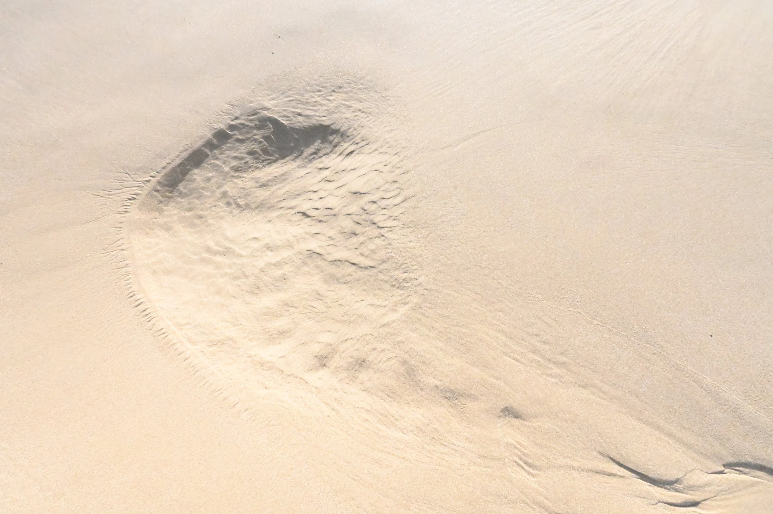 DSC_0622.JPG