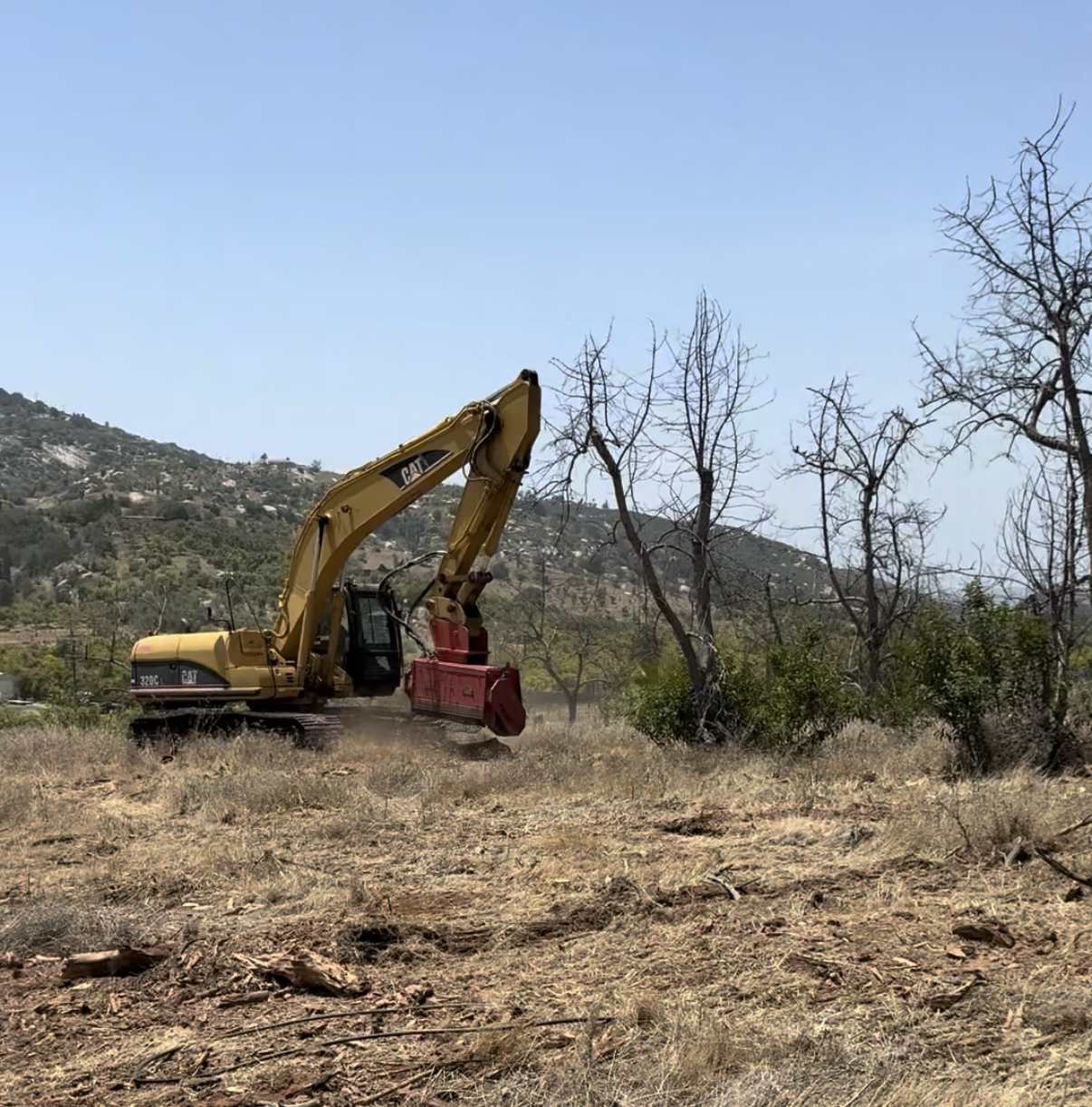 big yellow tractor excavator caterpillar forestry mulcher orchard removal