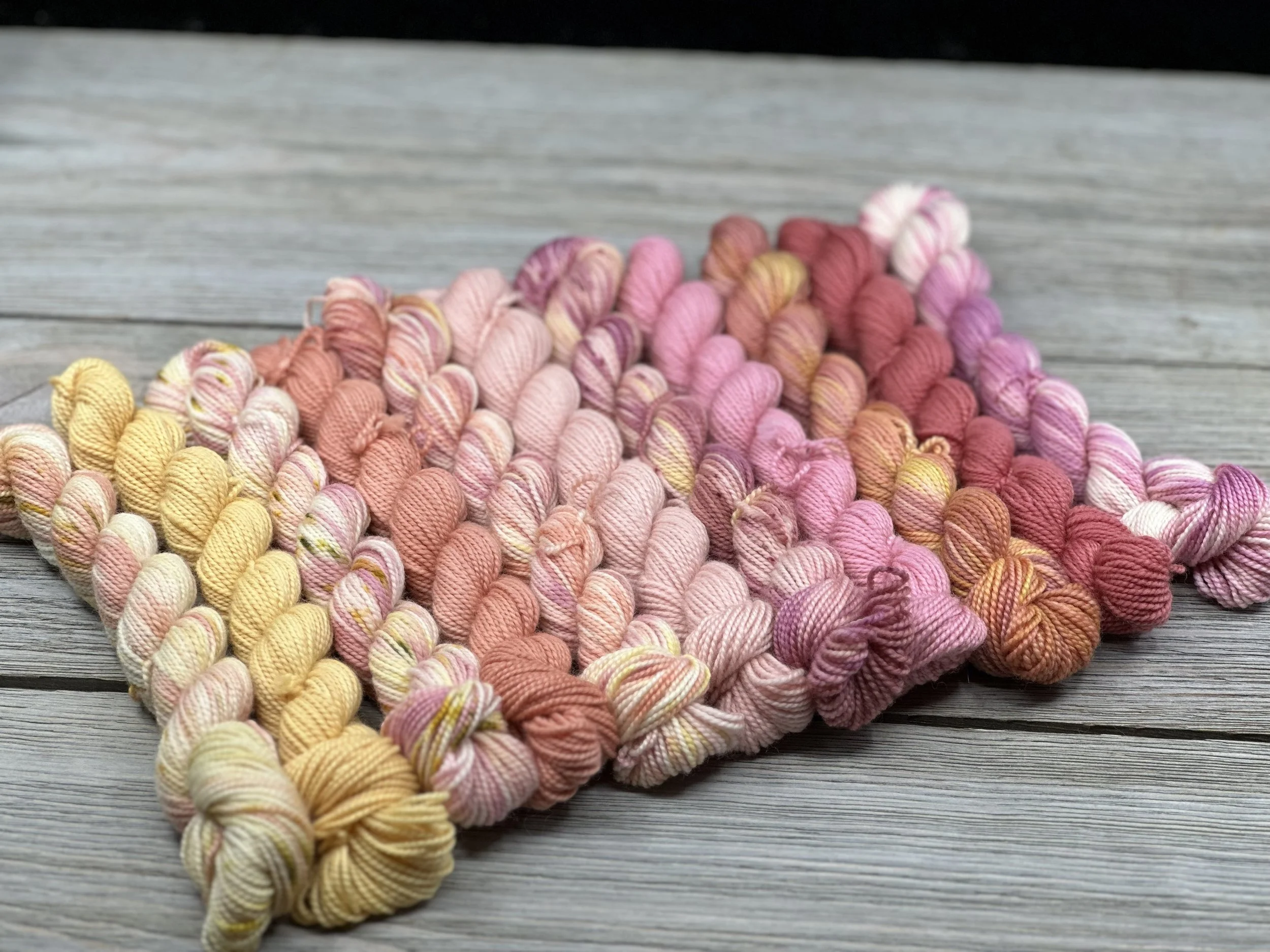 Minis with shawls.jpeg