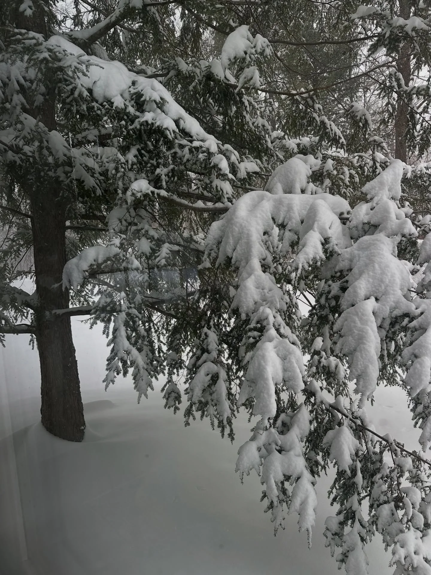 We will miss you today! With all the snow, we hope you are able to stay home and stay safe and warm.
And of course, do some creating and yarn crafting on your couch!

Our next open studio will be next Sunday, February 1 as part of  @fibruary_indy yar