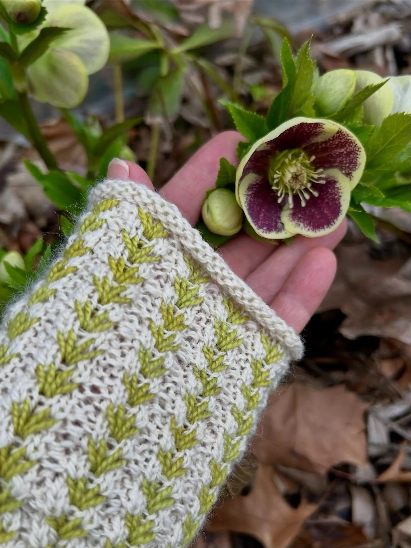 Temps are dropping so it must be time to make the Dip It wrist warmers!

This free pattern from Isabell Kraemer is our March Pick of the Month&mdash;and the dip stitch is so fun we just had to make a few kits in&mdash;

-Lilac 💜
-Mocha (like Isabell