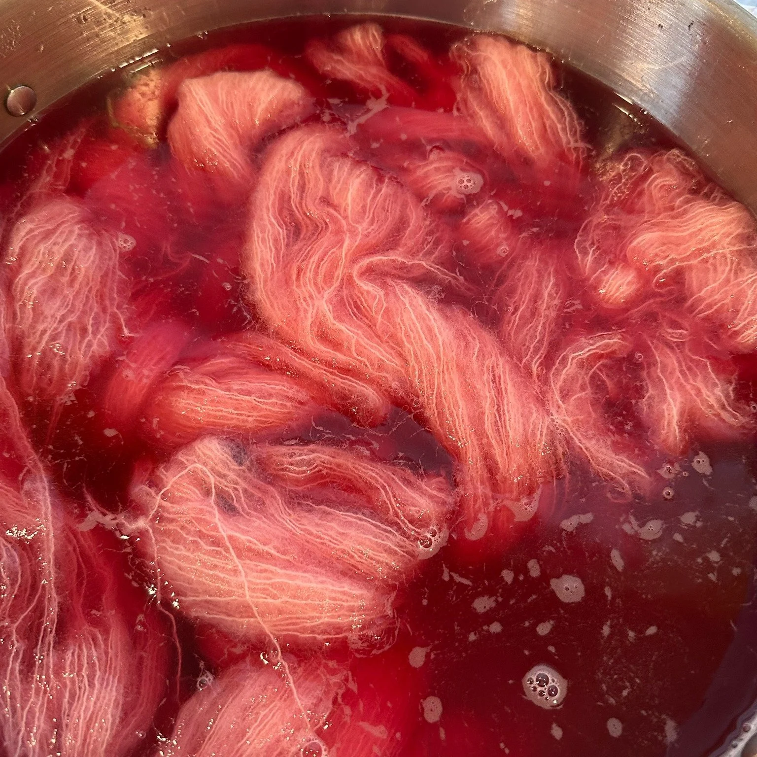 Working on a little spring fluff for our Yarn Fairy Sarah🥰
We love our Suri Silk here, and this batch looks like it will be yummy (made with cochineal and just a touch of cutch).

You can come see for yourself this Sunday.  We will be in the studio 