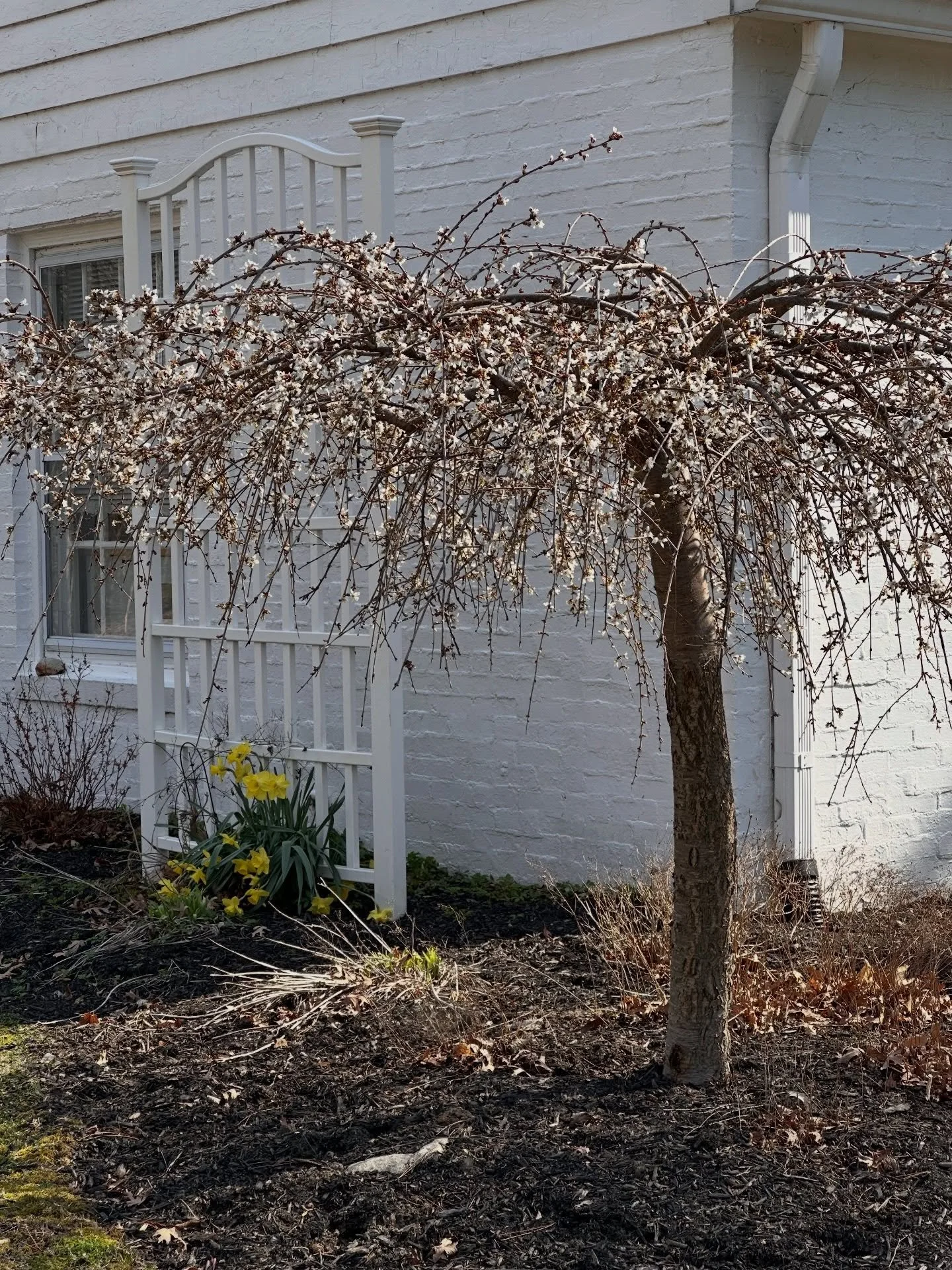 What a lovely day! We have open craft, open studio today until 4 o&rsquo;clock. Come on by! 

There&rsquo;s air-conditioning on the inside and a shady porch out back so you can choose your spot.🥰

#openstudio #knitting #crochet #spin #fishersindiana
