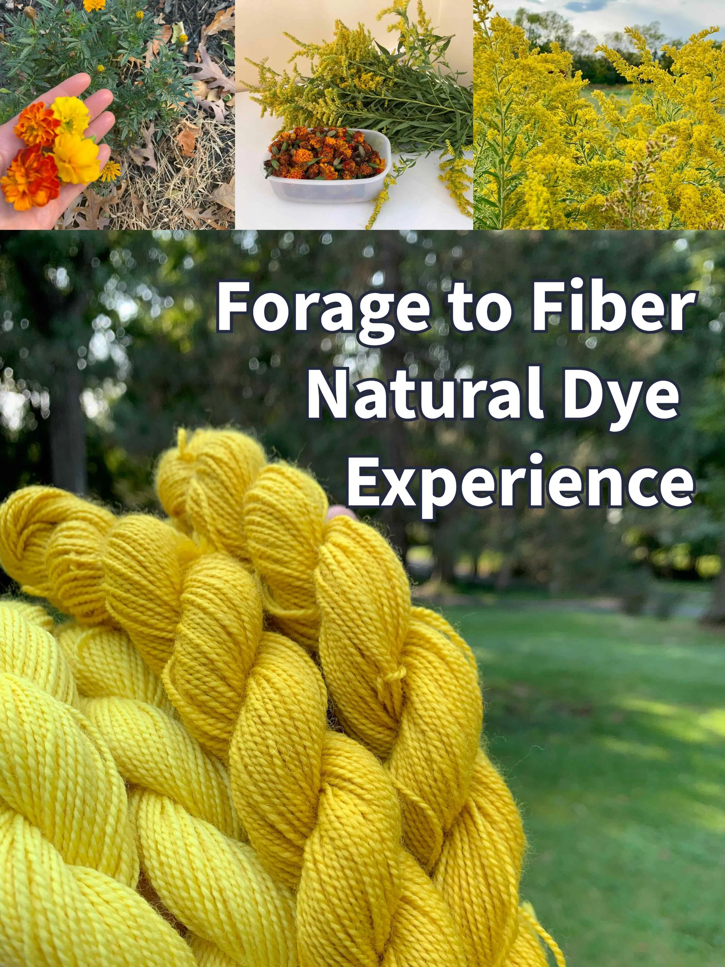 Forage to Fiber.jpg