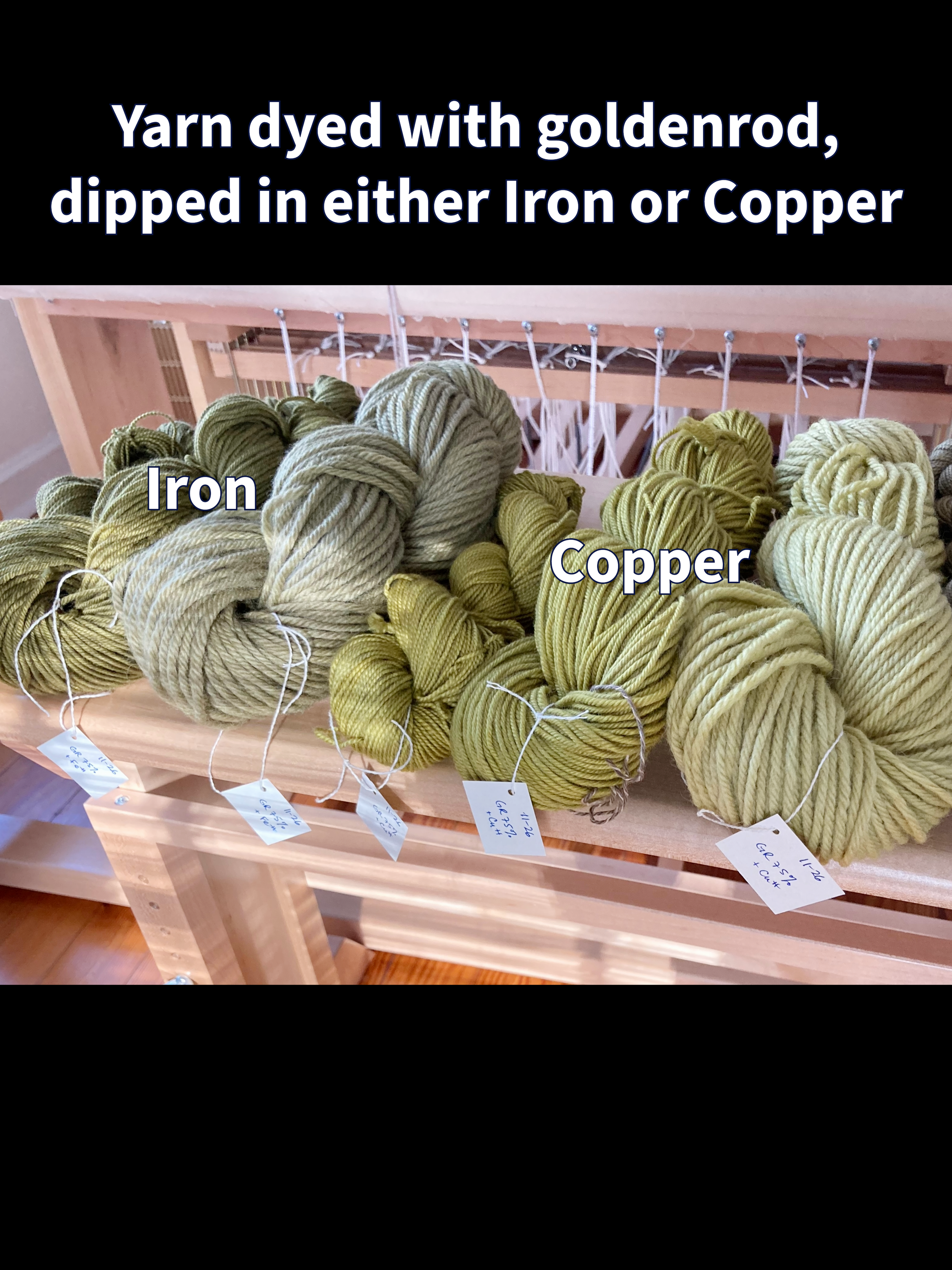 Forage to Fiber-2.png