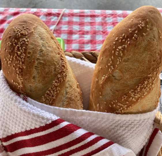 Screen Shot 2022-04-29 at 11.25.13 AM.png