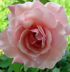 Screenshot 2026-03-28 202301.png