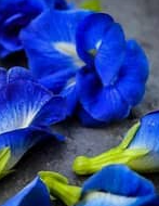 Screenshot 2026-04-16 145943.png