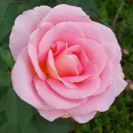 Screenshot 2026-03-28 202848.png