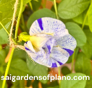 Screenshot 2026-04-16 150237.png