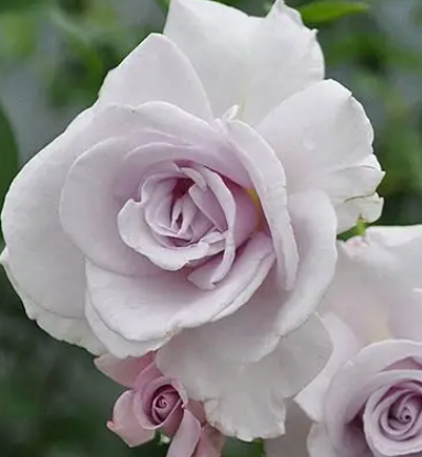 Screenshot 2026-03-28 202724.png