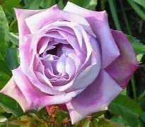 Screenshot 2026-03-28 202549.png