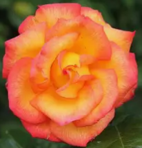 Screenshot 2026-03-28 211552.png