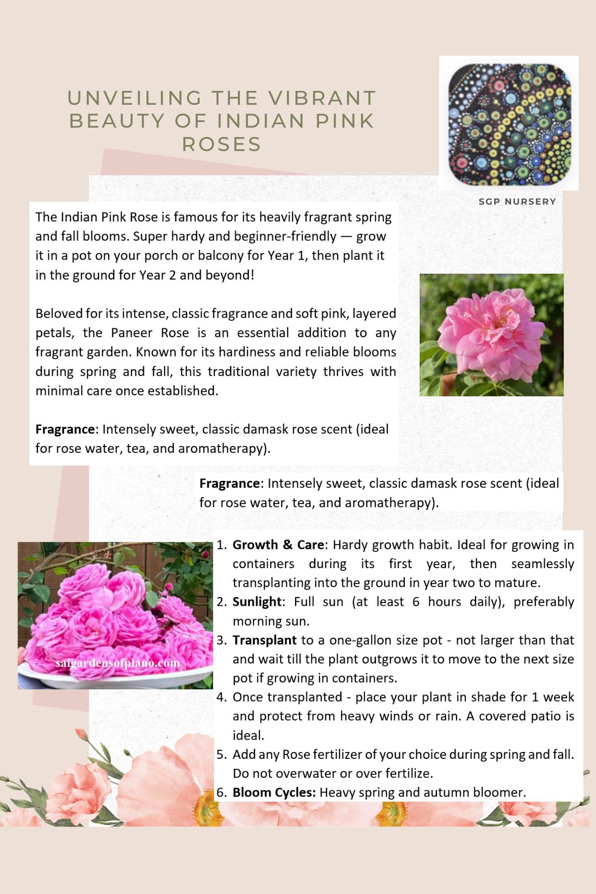 Pink_rose_flyer.png