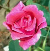 Screenshot 2026-03-28 202957.png