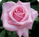 Screenshot 2026-03-28 202004.png