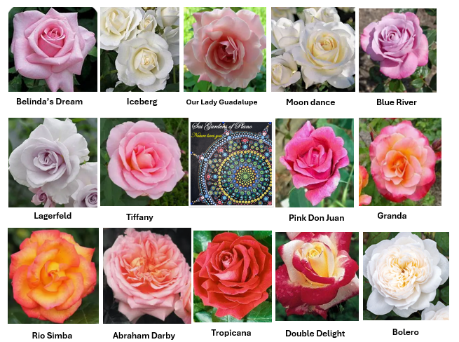 Screenshot 2026-03-28 212657.png