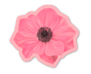 Anemone Sticker