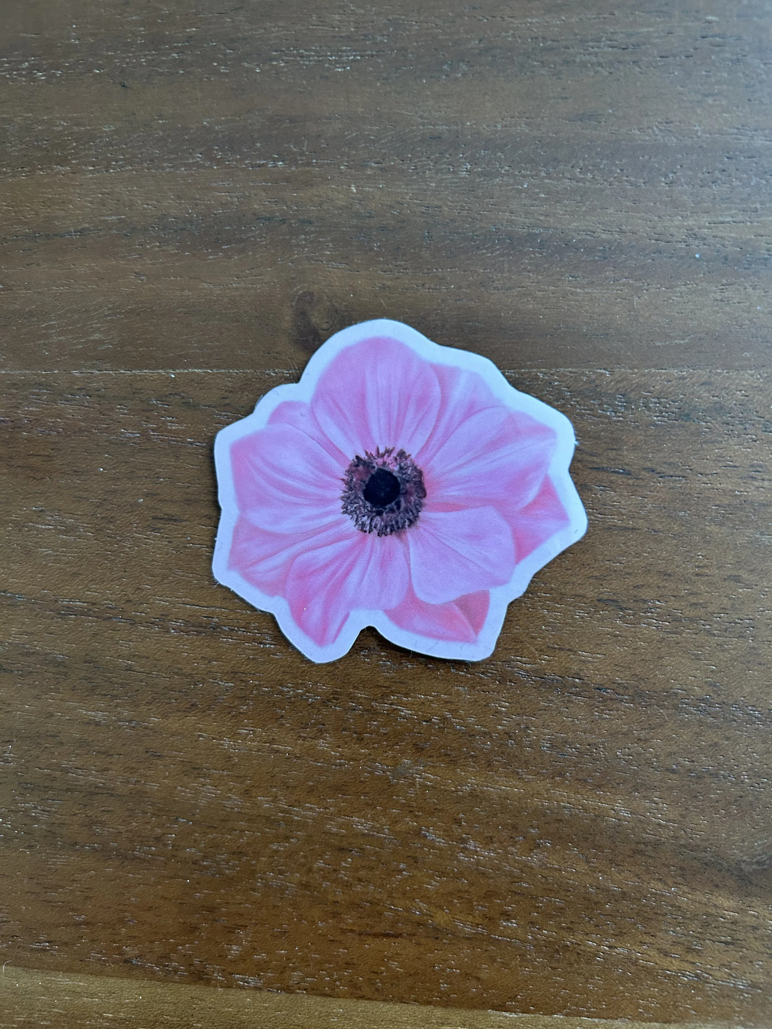 Anemone_Sticker_PP1.jpeg