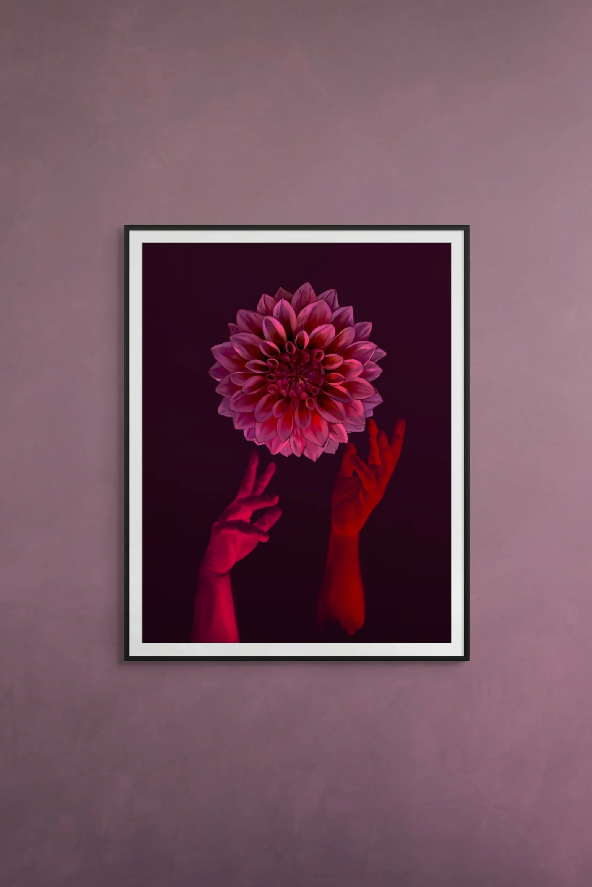 Dahlia