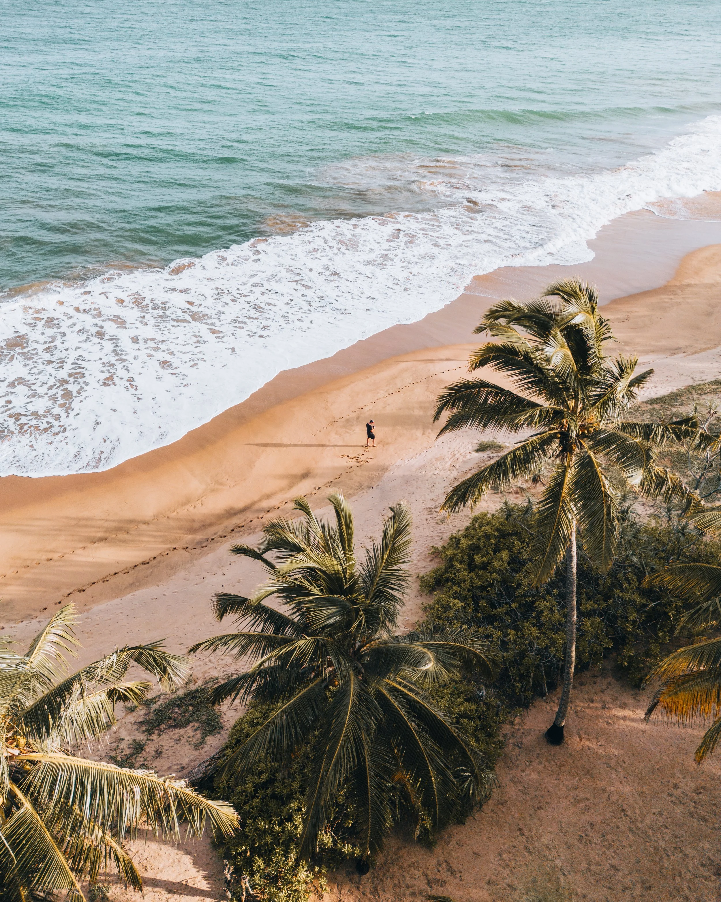 2023 - April - Sri Lanka - Camera -121.jpeg