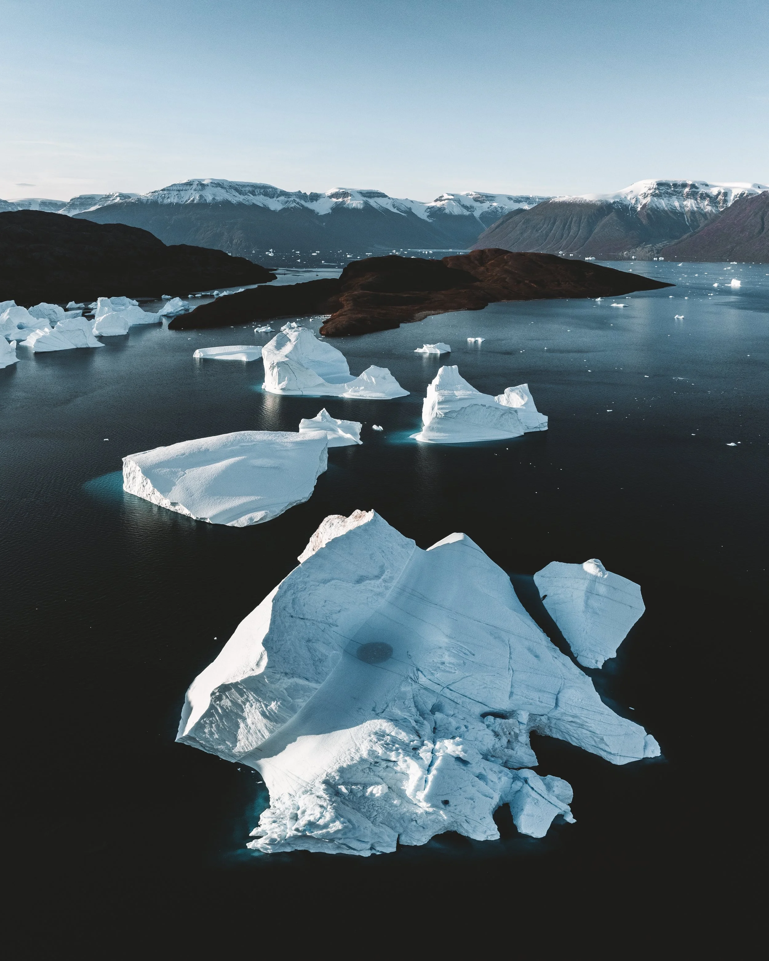 Icebergs floating in a dark sea with snow-capped mountains in the background.