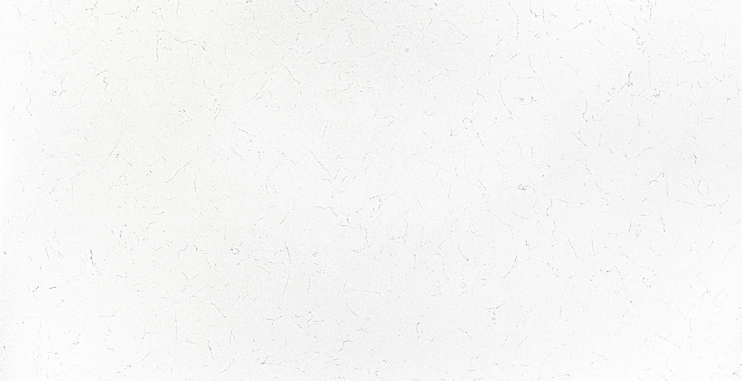 Bianco Aspen - PQ2005