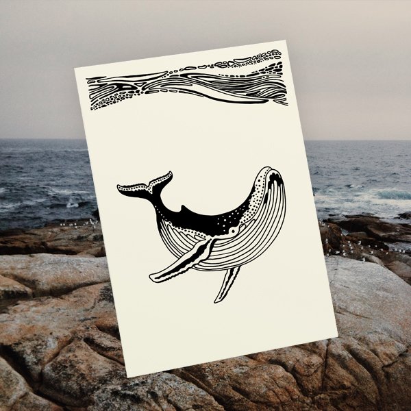 WHALE.jpg
