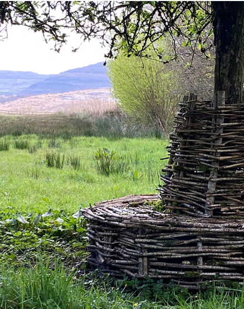 experience beauty when you least expect to