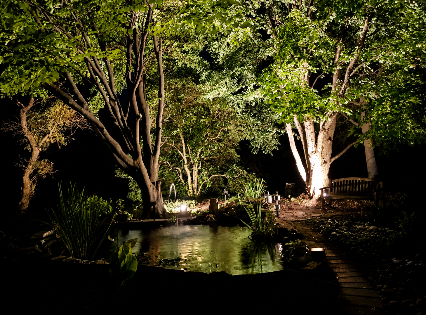 Nighttime garden scene with a small pond surrounded by rocks and plants, illuminated by lights, with large trees in the background and a wooden bench to the right.