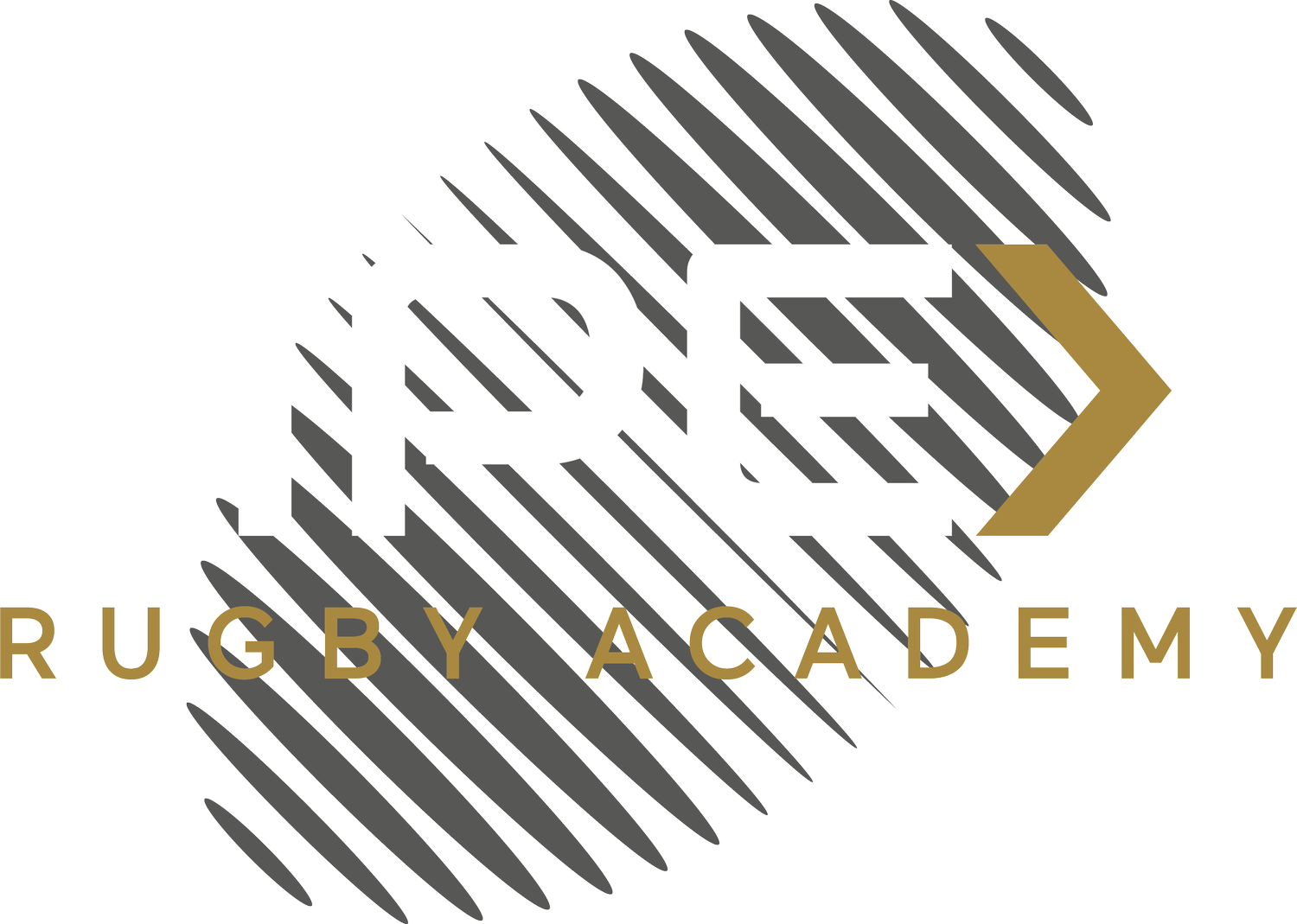 Apex Rugby Academy